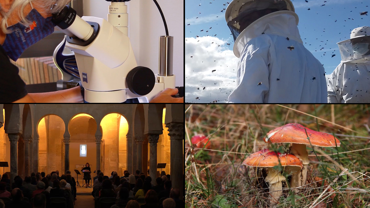 Audiovisuales documentales y didácticos sobre arte y ciencia